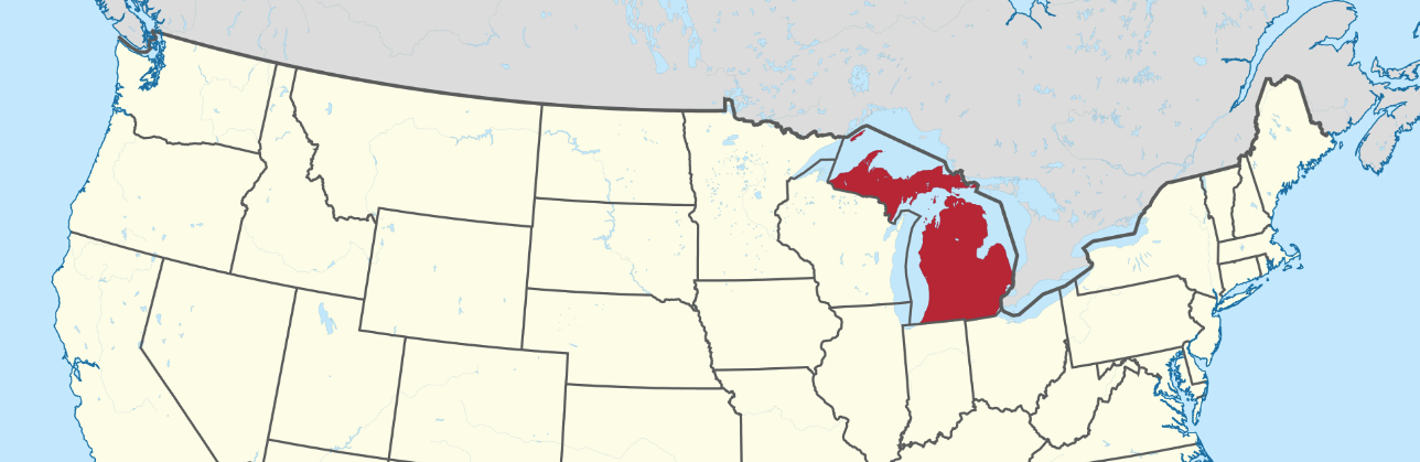 Michigan Coalitions